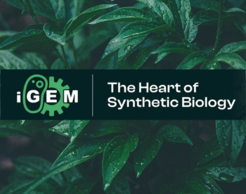 Join the iGEM 2024-2025: Unleash Your Potential in Synthetic Biology with Embark