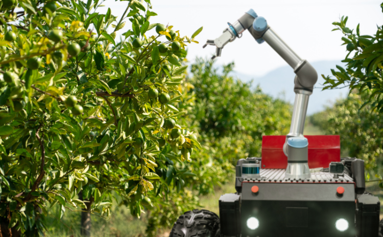 Design of a Flexible Gripper Structure for Fruit Picking